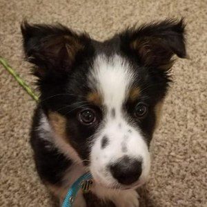 Meet your Posher, Pam